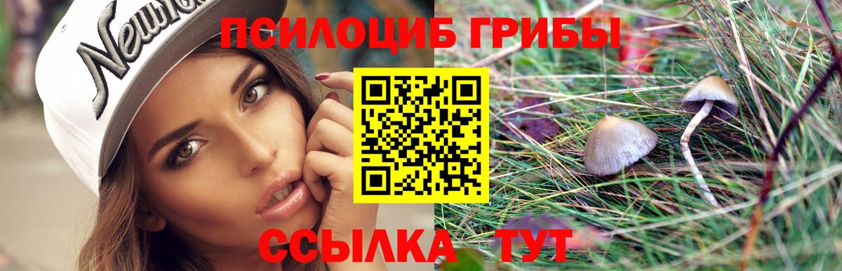 Псилоцибиновые грибы прущие грибы Усинск